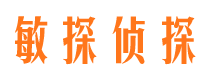 沙坡头市婚外情调查